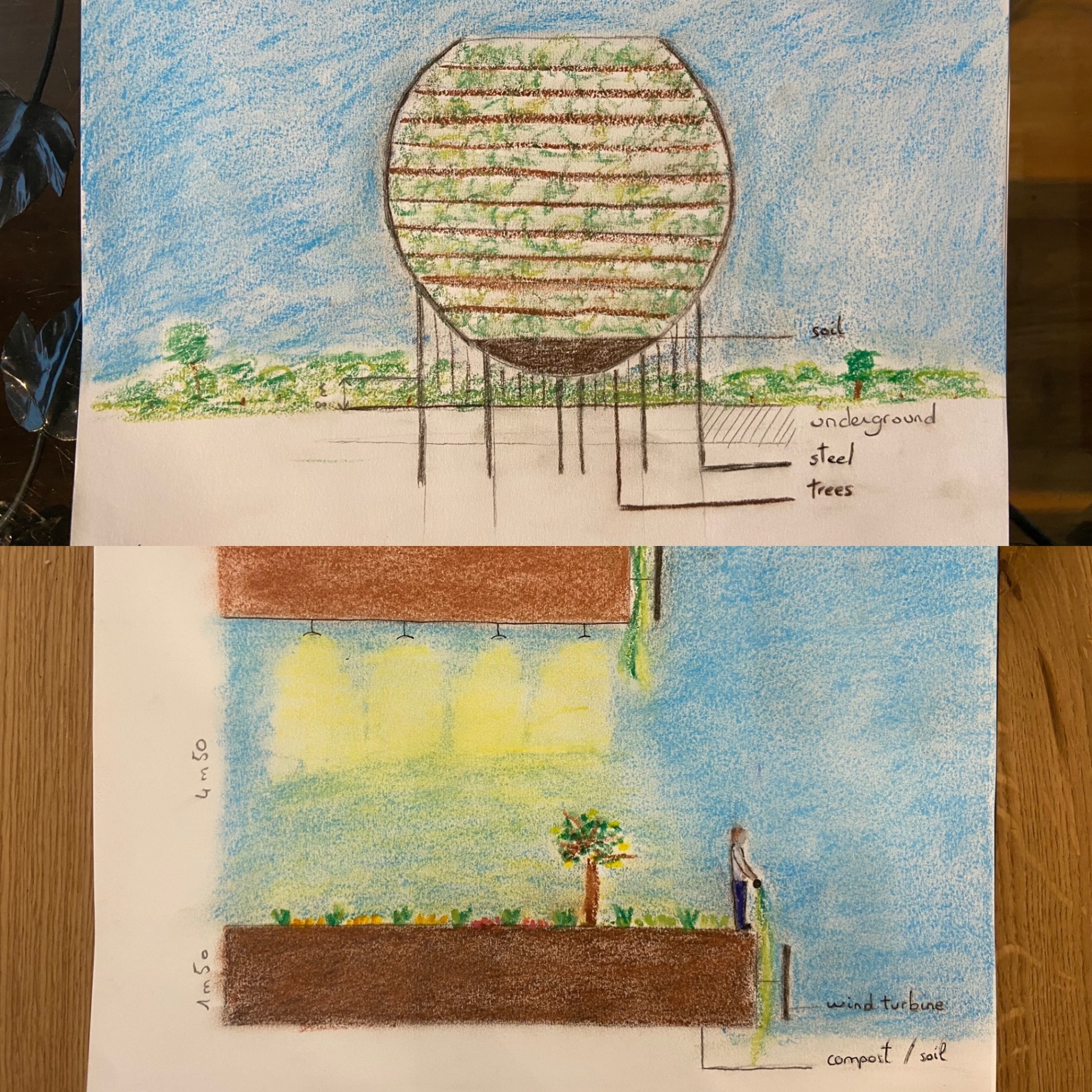 Le Globe Tree — croquis